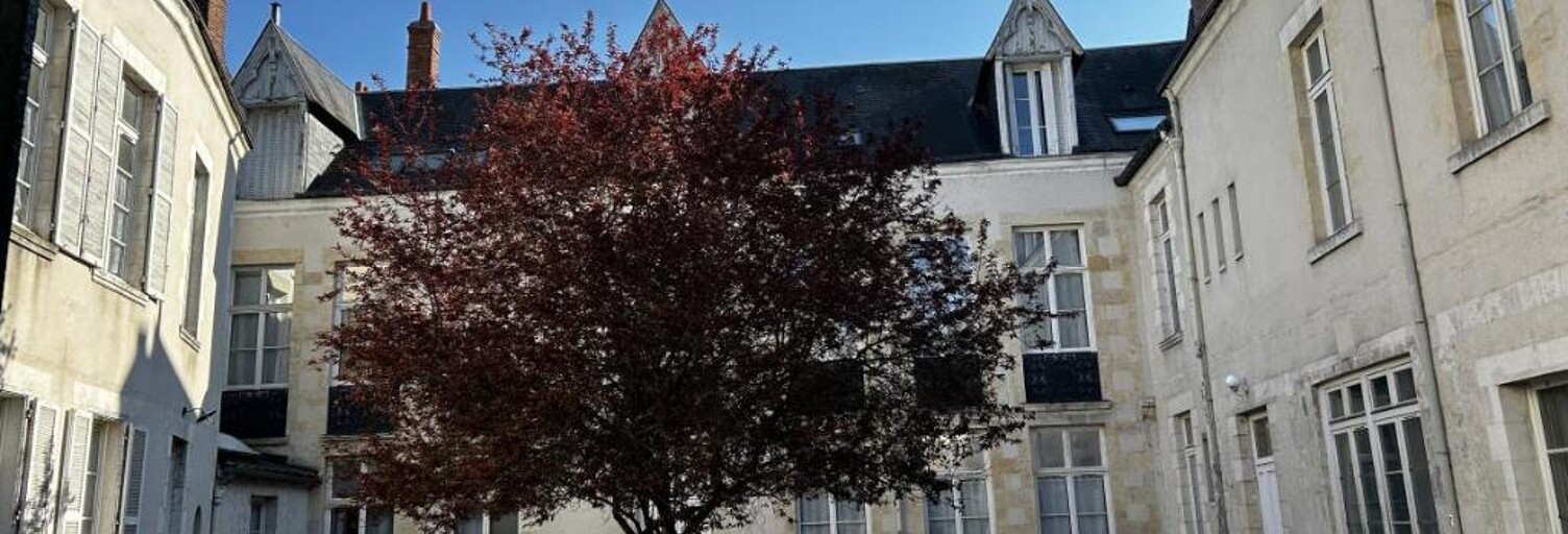 Appartement 2 Pièces 17 m² à vendre à Orléans (45000)