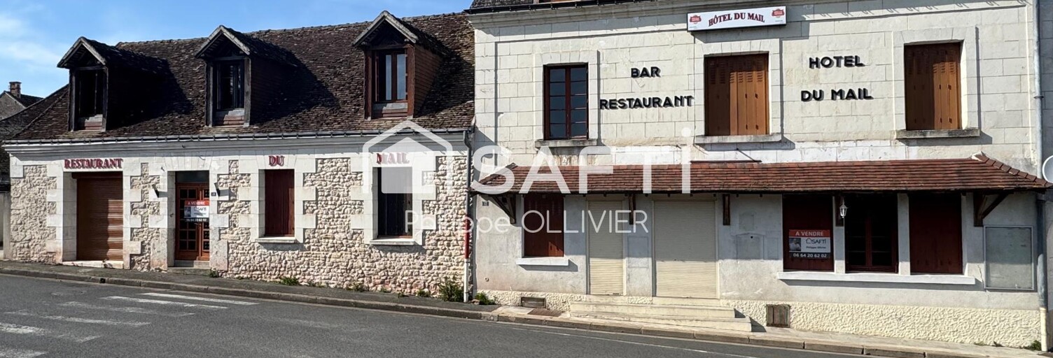 Commerce 20 Pièces 414 m² à vendre à Luzillé (37150)