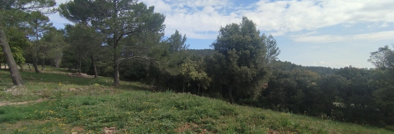 Terrain  15970 m² à vendre à Carnoules (83660)