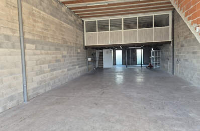 VIC LA GARDIOLE/MIREVAL : Local professionnel 182m2 — photo du bien