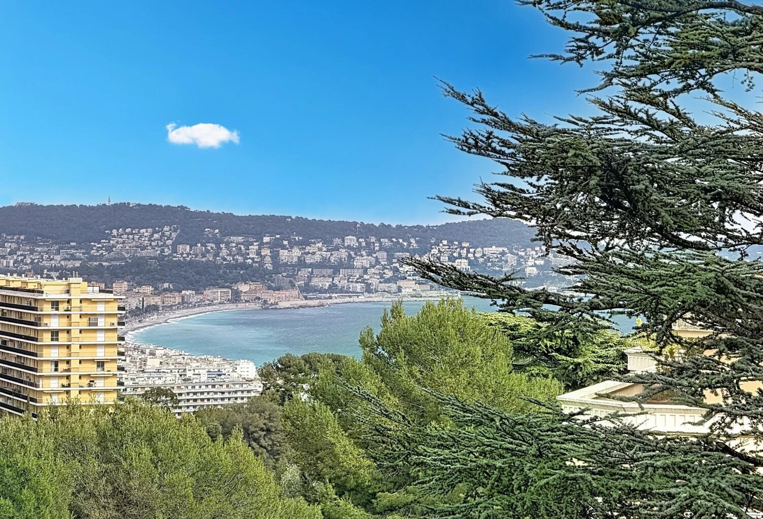 Vente appartement   Nice (06200) — photo 1