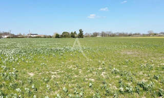 Terrain  4161 m² à vendre à Mondonville (31700)