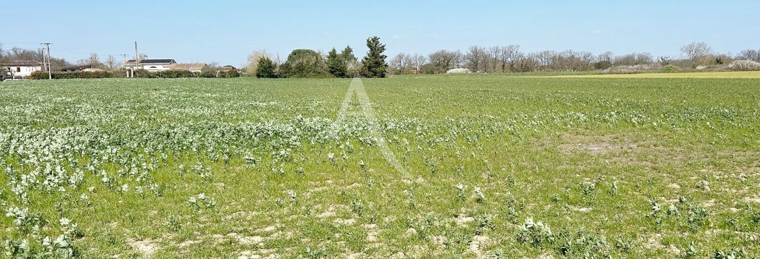 Terrain  4161 m² à vendre à Mondonville (31700)