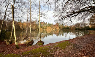 Terrain  18058 m² à vendre à Villegenon (18260)