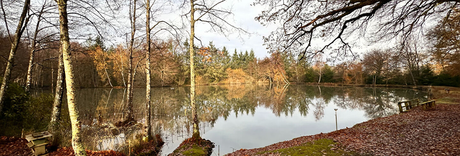 Terrain  18058 m² à vendre à Villegenon (18260)