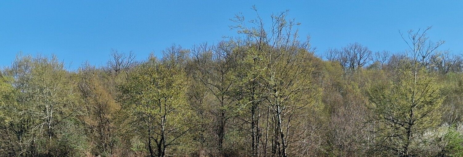 Terrain  98227 m² à vendre à Louignac (19310)