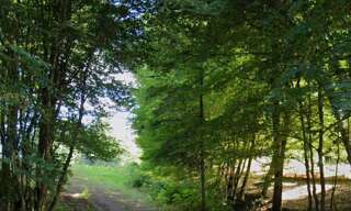 Terrain  52962 m² à vendre à Villac (24120)