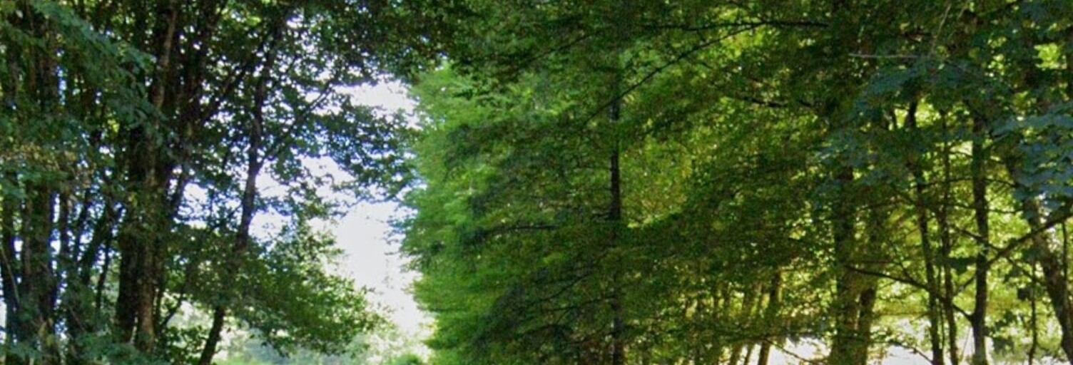 Terrain  52962 m² à vendre à Villac (24120)