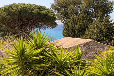 Appartement 3 pièces 460000 €