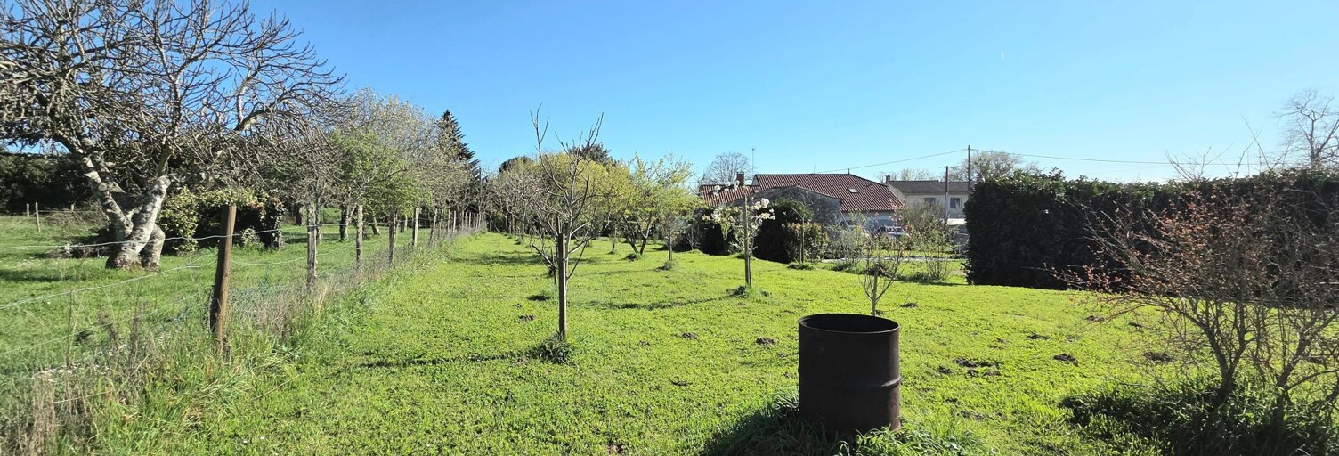 Photo N° 2