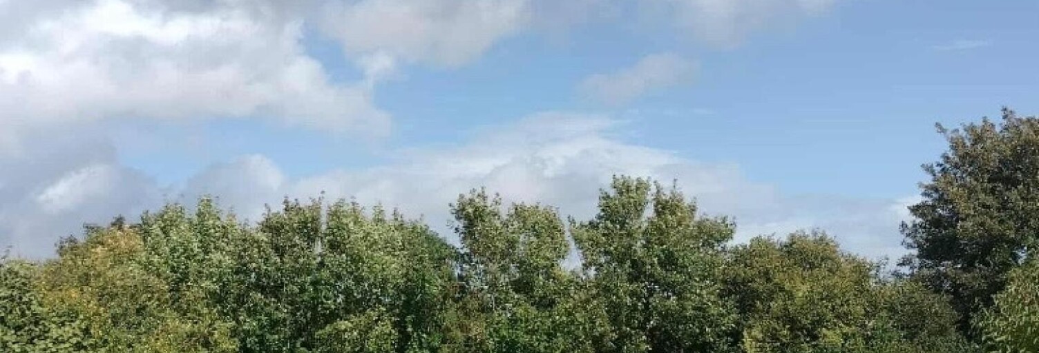 Terrain  817 m² à vendre à Landrethun-lès-Ardres (62610)