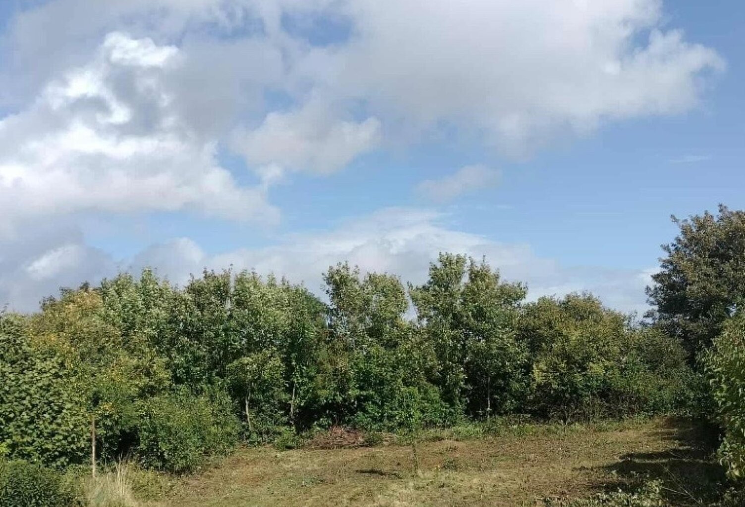 Superbe terrain constructible de plus de 800 m2 — photo 1