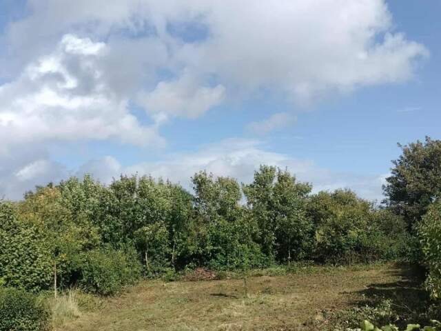 Superbe terrain constructible de plus de 800 m2 — photo du bien