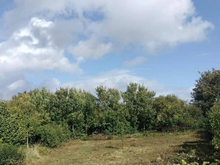 Superbe terrain constructible de plus de 800 m2 — photo 1