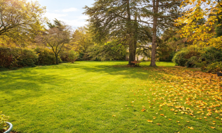 Terrain  500 m² à vendre à Oullins-Pierre-Bénite (69600)