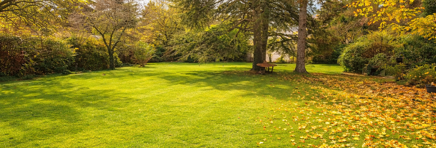 Terrain  500 m² à vendre à Oullins-Pierre-Bénite (69600)