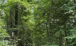 Terrain  1044382 m² à vendre à Pont-Sainte-Maxence (60700)