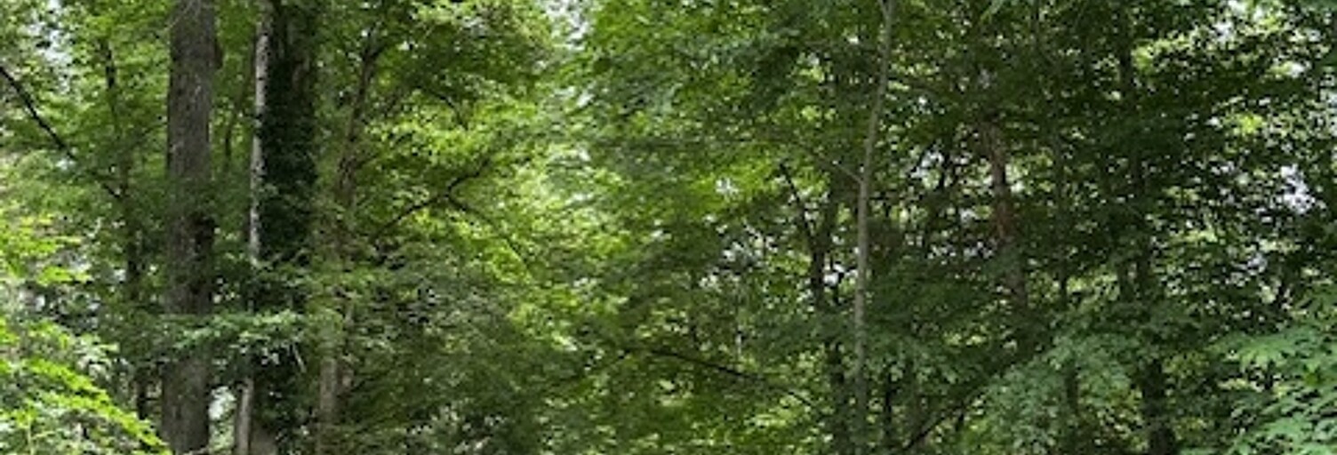 Terrain  1044382 m² à vendre à Pont-Sainte-Maxence (60700)