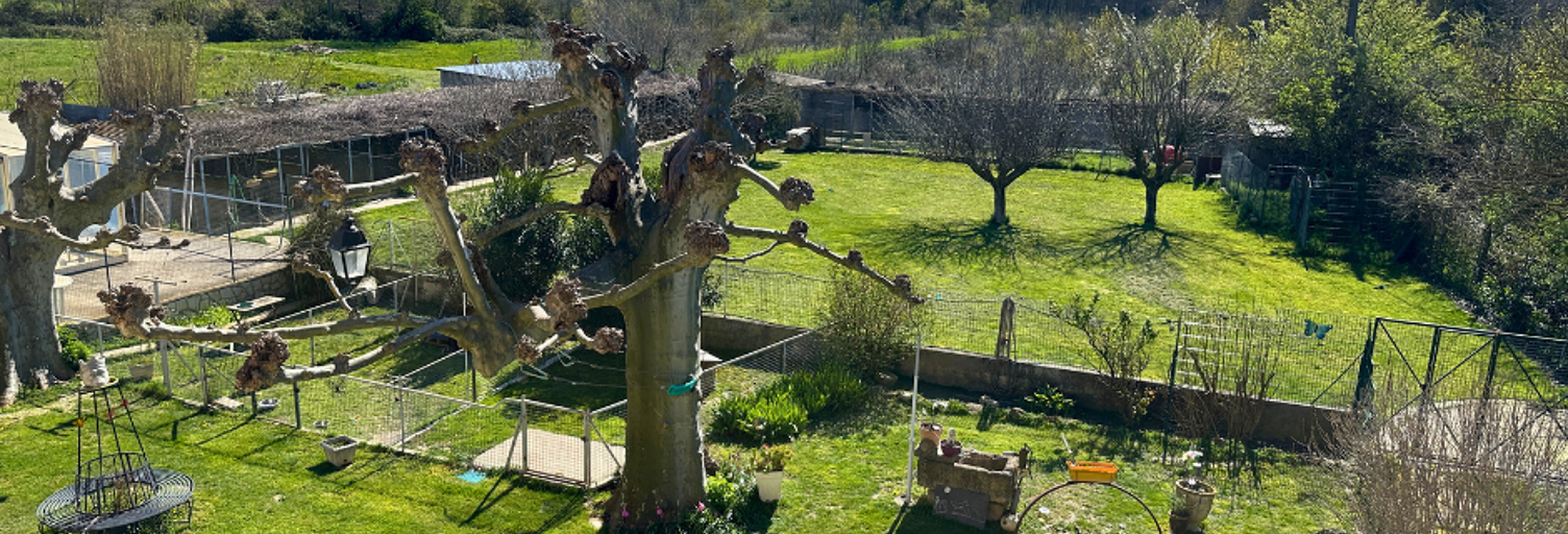 Maison 6 Pièces 197 m² à vendre à Courthézon (84350)