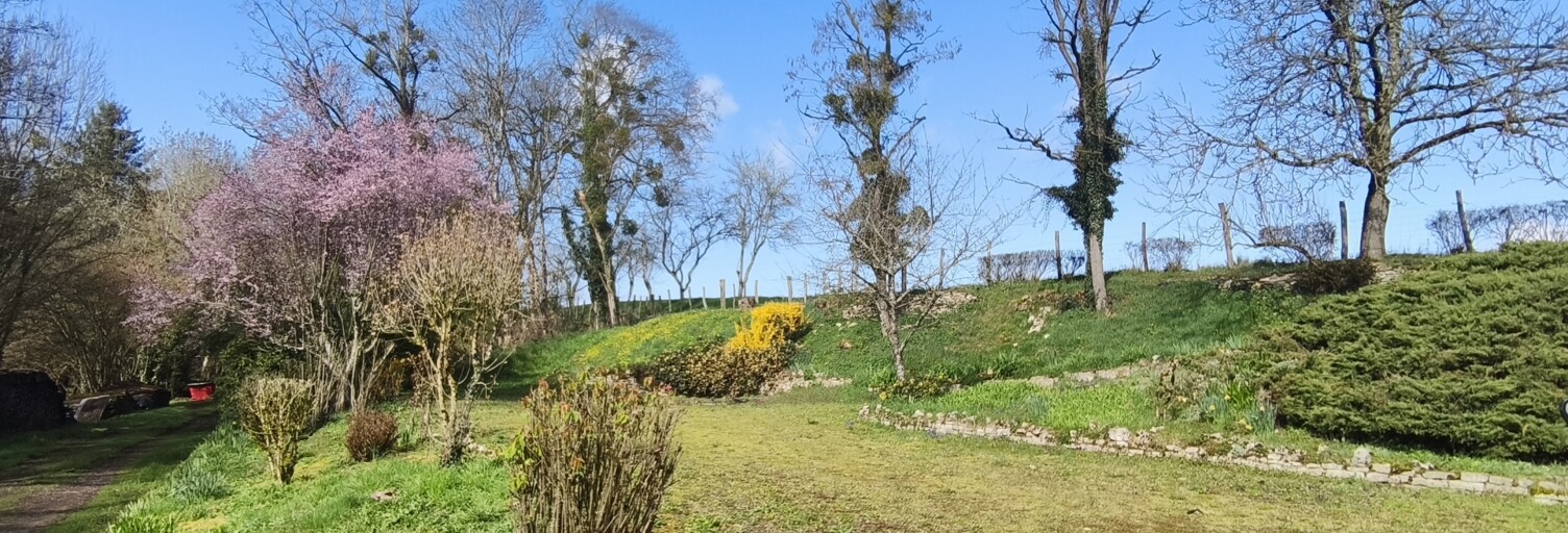 Photo N° 2