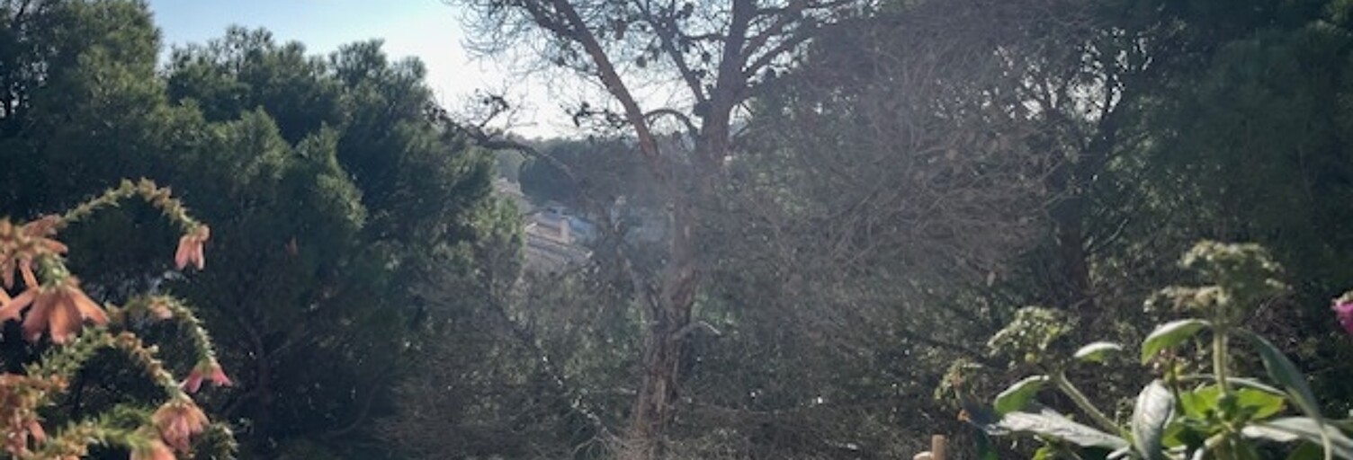 Appartement 3 Pièces 57 m² à vendre à Avignon (84140)