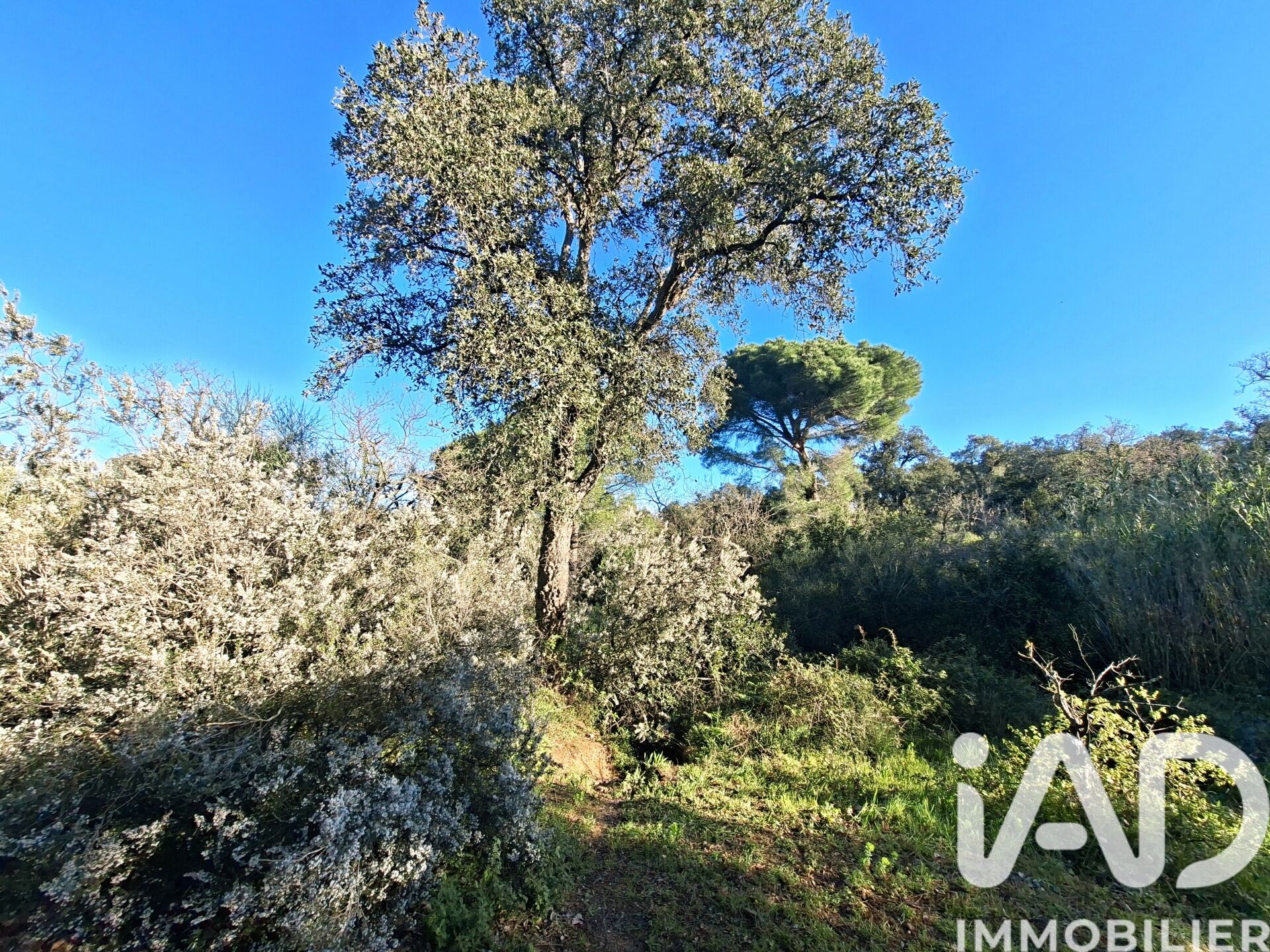 Argeles-Sur-Mer - 2880m²