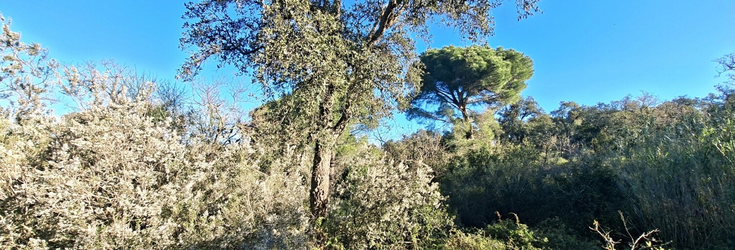Terrain  2880 m² à vendre à Argelès-sur-Mer (66700)