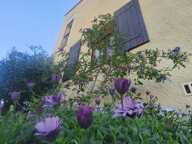 Vente Maison traditionnelle 6 pièces — photo 2