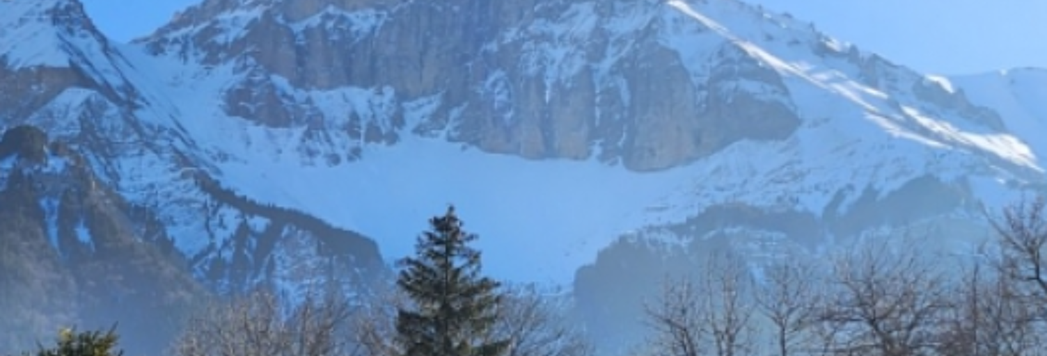 Maison 9 Pièces 250 m² à vendre à Tréminis (38710)