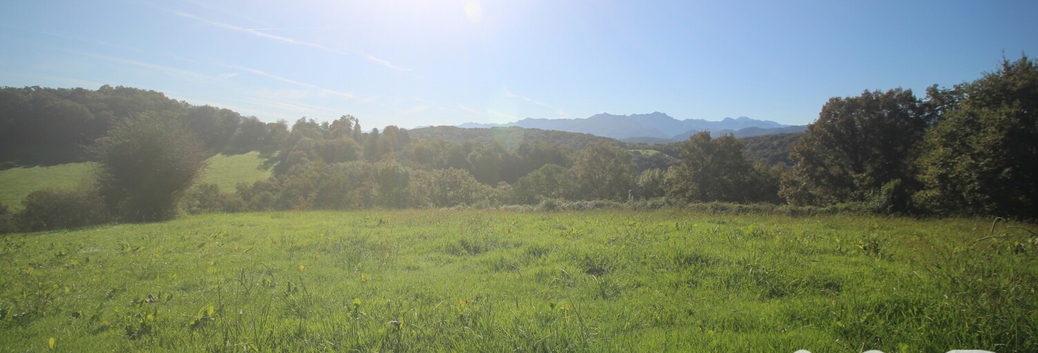 Terrain  3510 m² à vendre à Esquiule (64400)