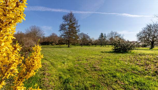 Villa / Maison 8 pièces  à vendre Nieul-lès-Saintes 17810
