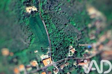 Terrain  65000 €