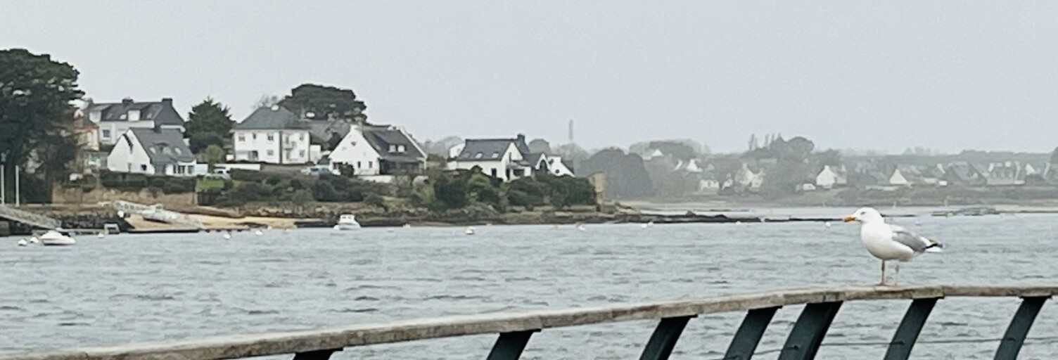 Appartement 2 Pièces 39 m² à vendre à Étel (56410)