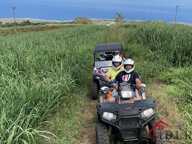 À VENDRE ACTIVITÉ QUAD & BUGGY RENTABLE - LA RÉUNION — photo 4