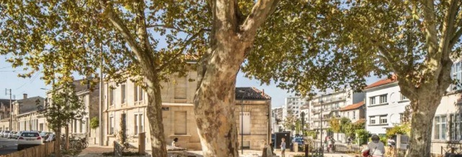 Appartement 1 Pièce 28 m² à louer à Bordeaux (33000)