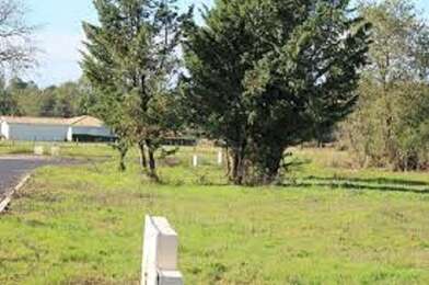 Terrain  105000 €