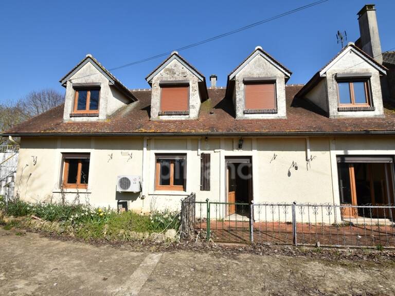 Dpt Loiret (45), à vendre deux maisons, 12 pièces, 280 M² — photo 1