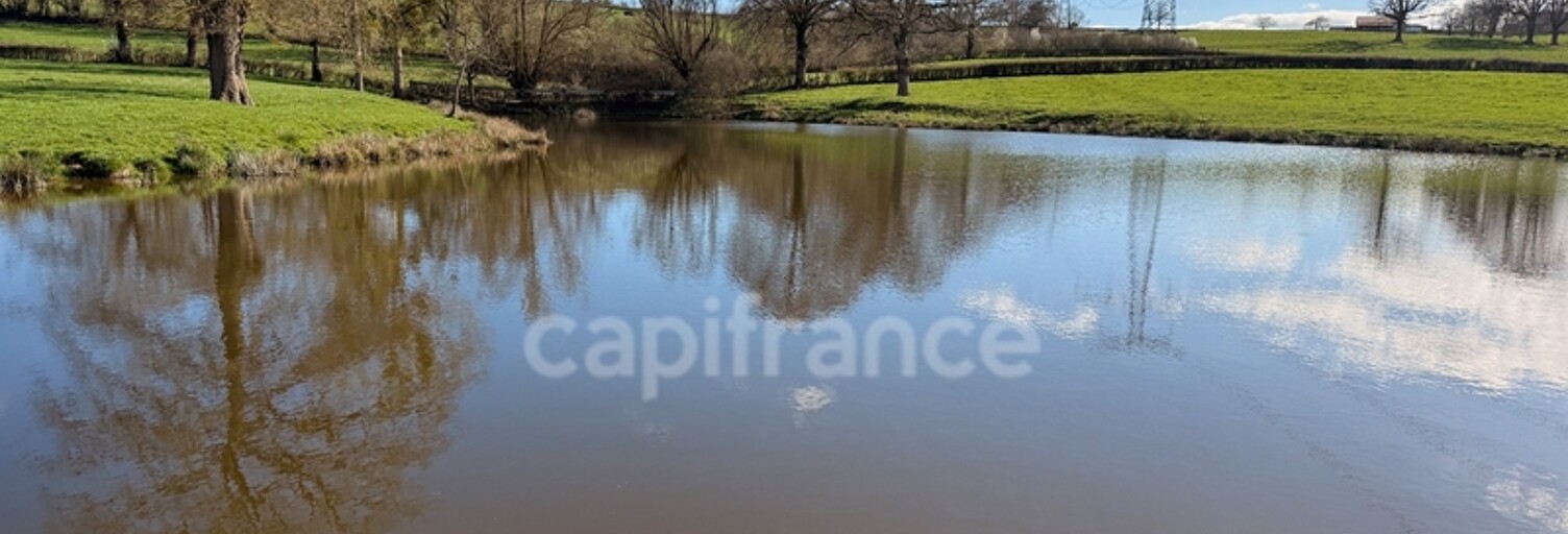 Commerce  46710 m² à vendre à Saint-Laurent-d'Andenay (71210)