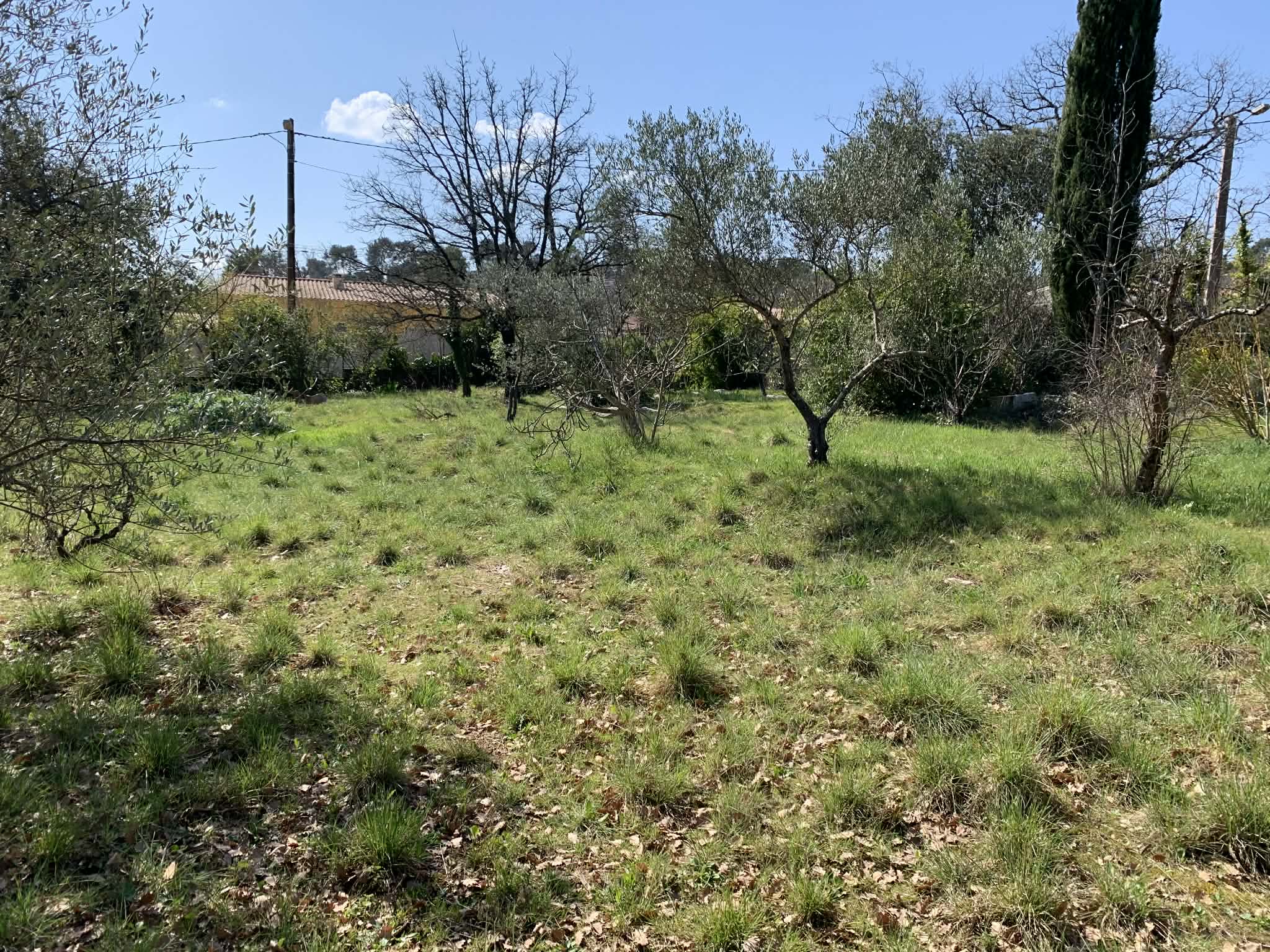 Terrain  à vendre Garéoult 83136