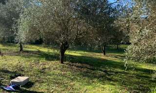 Terrain 725 m² à construire Brignoles (83170)