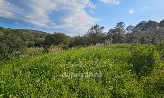 Terrain  1200 m² à vendre à Lecci (20137)