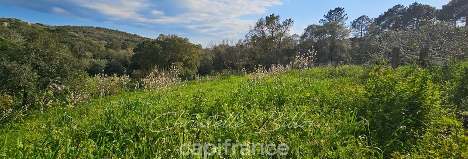 Terrain  1200 m² à vendre à Lecci (20137)