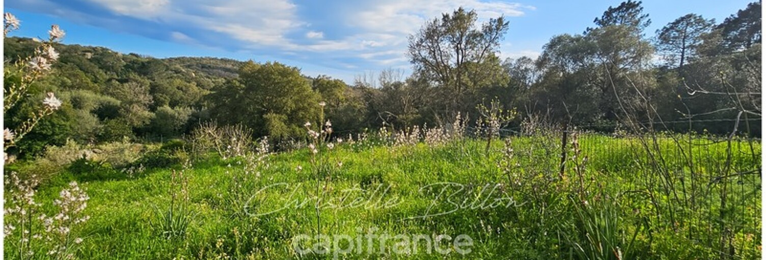 Terrain  1200 m² à vendre à Lecci (20137)