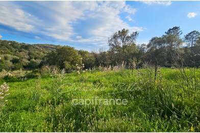 Terrain  300000 €