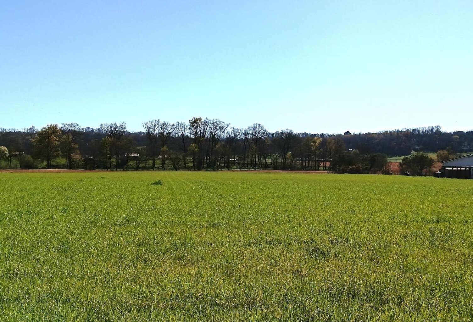Terrain à bâtir 1400m² — photo 1