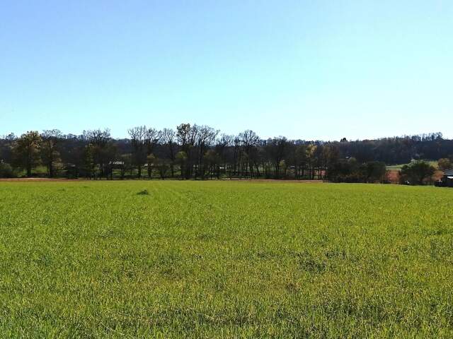 Terrain à bâtir 1400m² — photo du bien