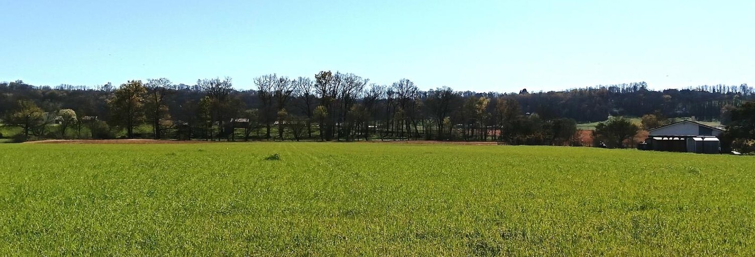 Terrain  1400 m² à vendre à Toulouzette (40250)