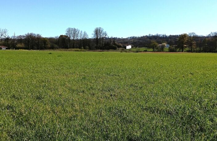 Terrain à bâtir 1400m² — photo 3