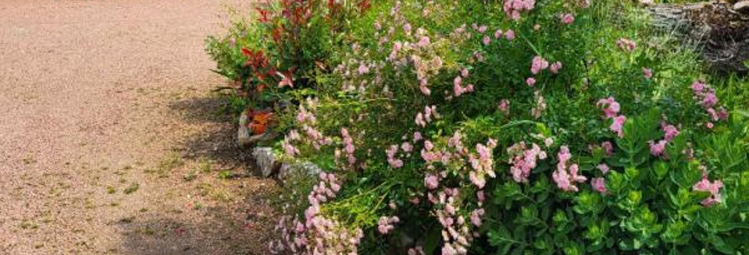 Maison 9 Pièces 230 m² à vendre à Voiteur (39210)