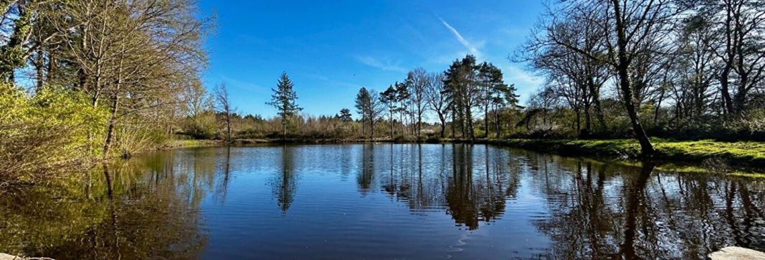 Maison   m² à vendre à Langon-sur-Cher (41320)